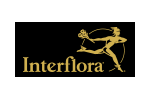 Cashback, réductions et bon plan chez Interflora pour acheter moins cher chez Interflora