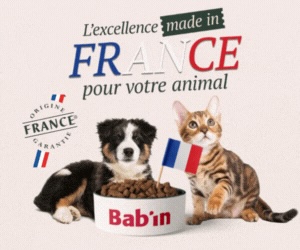 Bab'in nutrition
